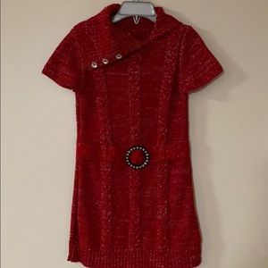 Ted Sweater Dress